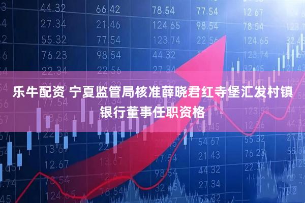 乐牛配资 宁夏监管局核准薛晓君红寺堡汇发村镇银行董事任职资格