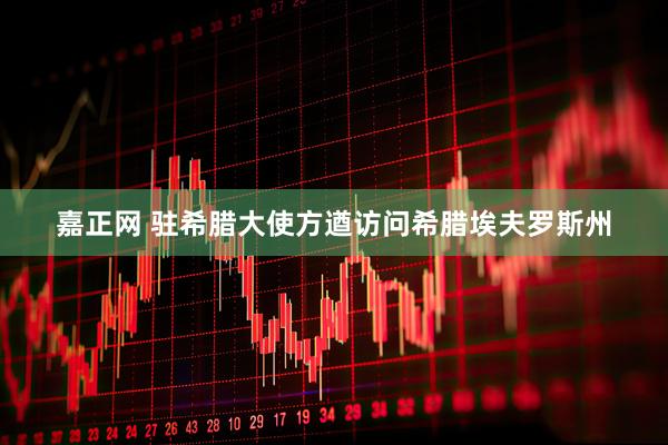 嘉正网 驻希腊大使方遒访问希腊埃夫罗斯州