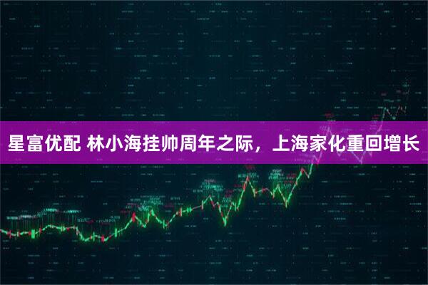 星富优配 林小海挂帅周年之际，上海家化重回增长