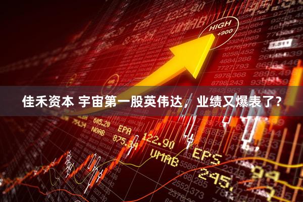 佳禾资本 宇宙第一股英伟达，业绩又爆表了？