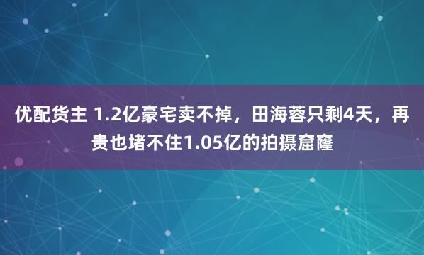 优配货主 1.2亿豪宅卖不掉,田海蓉只剩4天,再贵也堵不住1.05亿的拍摄窟窿