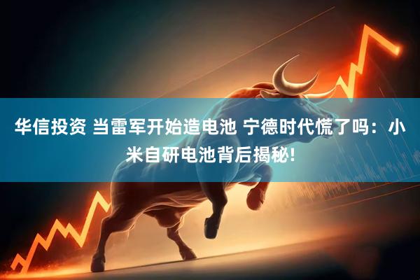 华信投资 当雷军开始造电池 宁德时代慌了吗:小米自研电池背后揭秘!