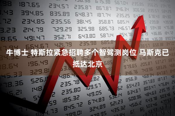 牛博士 特斯拉紧急招聘多个智驾测岗位 马斯克已抵达北京